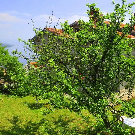 Bellavista Appartement